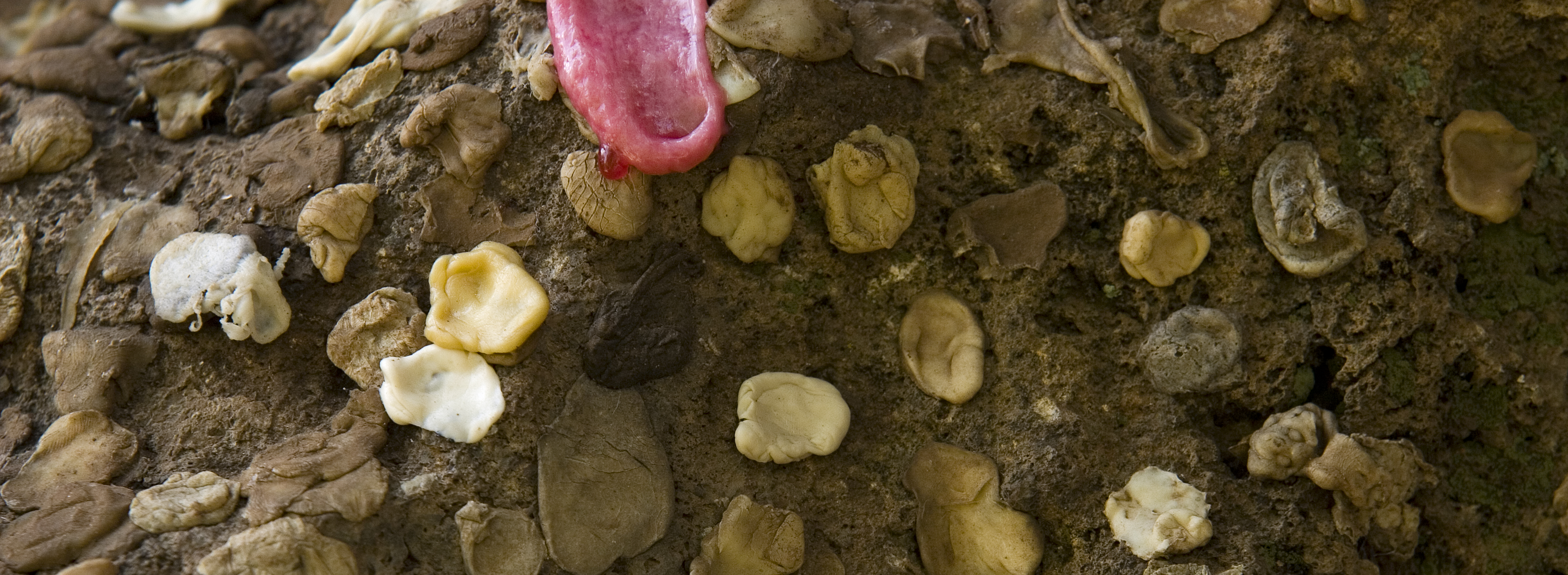 Group Photograph by Meital Covo still 5